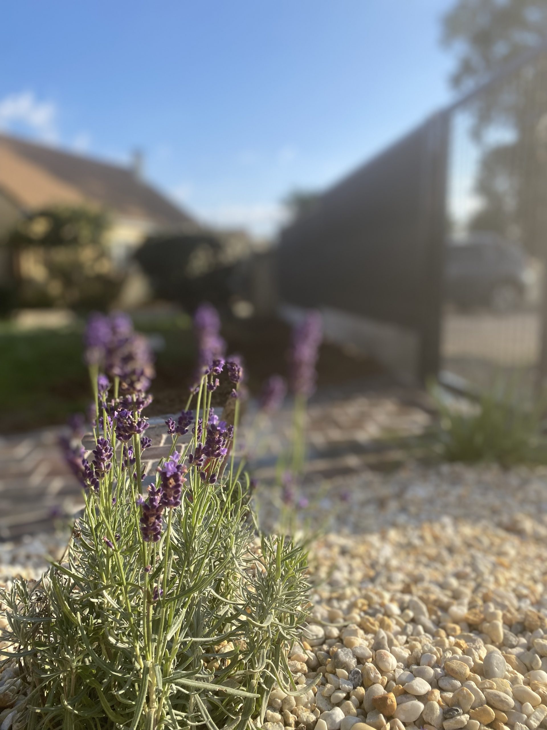 Conception et création de jardin par Eucalynature, paysagiste dans l’Orne, avec aménagement paysager sur mesure