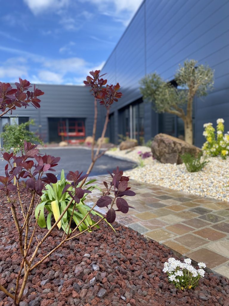 Aménagement paysager moderne avec arbustes, dallage en pierre et plantations par un créateur de jardin dans l’Orne.